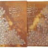 Ghazaliyat par Shams-e Tabrizi (Édition Farsi avec peintures miniatures)