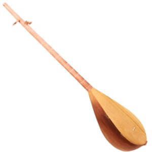 Instrument Persan Dutar, Modèle Torbat Jam