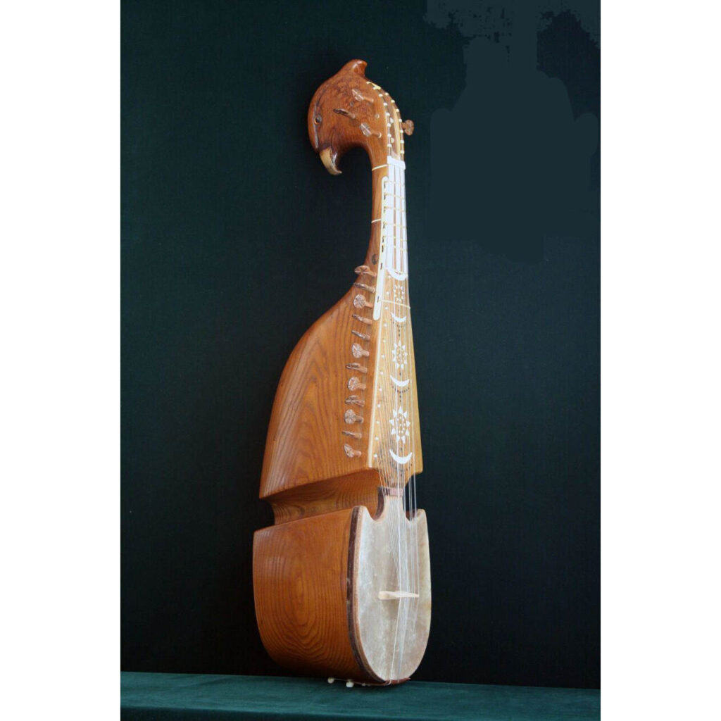 Rubab afghan instrument de musique professionnel – qualité supérieure