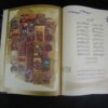 Les Ghazaliyat de Hafez Shirazi avec peinture de calligraphie (Farsi)