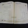 Les Ghazaliyat de Hafez Shirazi avec peinture de calligraphie (Farsi)