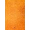 Le Masnavi de Maulana Jalaluddin Rumi (Édition Farsi)
