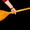 Instrument Persan Dutar par le Maître Akbari, Haute Qualité