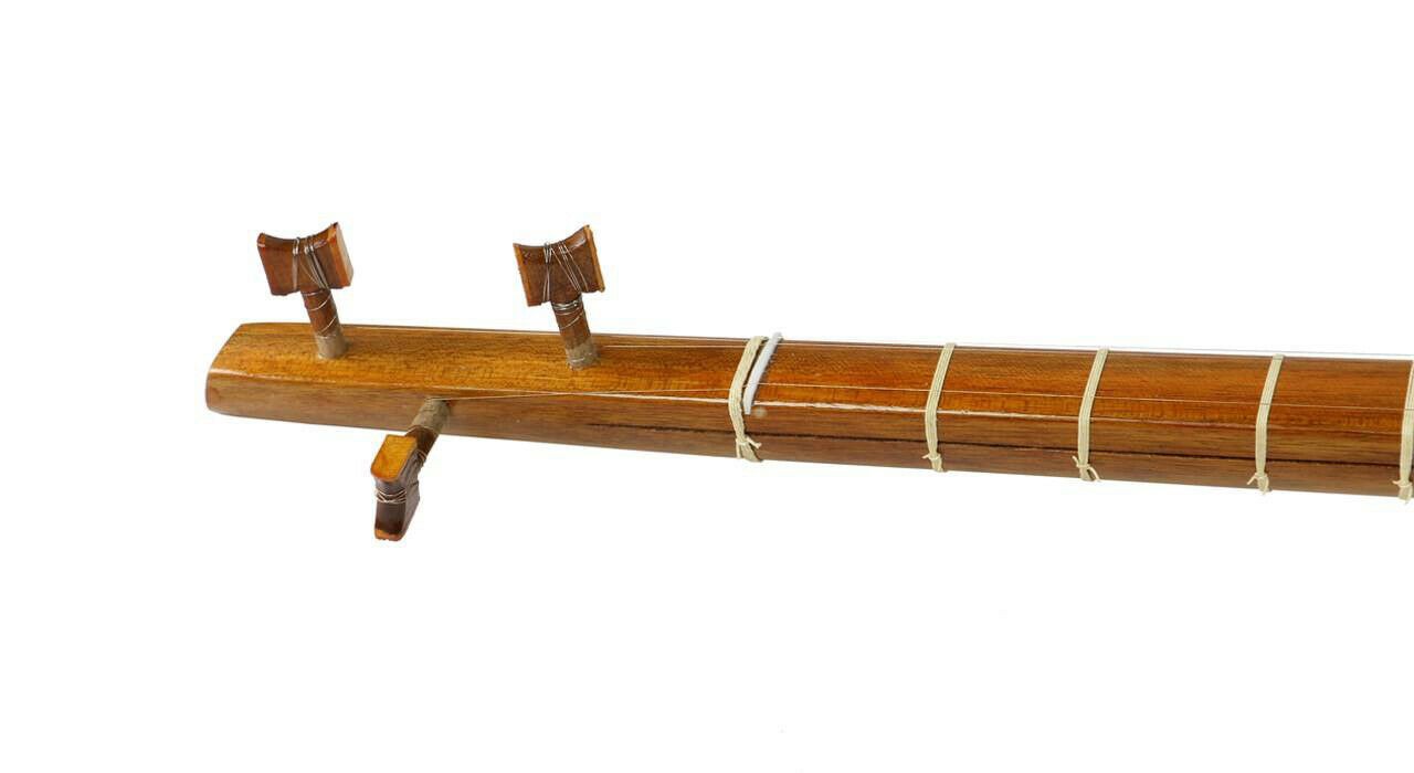 Instrument Tanbur Tanboor persan par Akbari, Modèle Économie