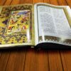 Shahnameh par Ferdowsi avec peintures miniatures