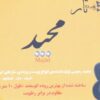 Pardeh ou frette pour Tar persan – Modèle Majid Medium