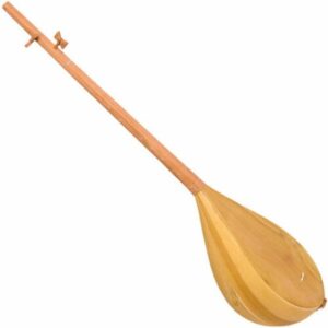 Instrument Persan Dutar, Modèle Torbat Jam 21