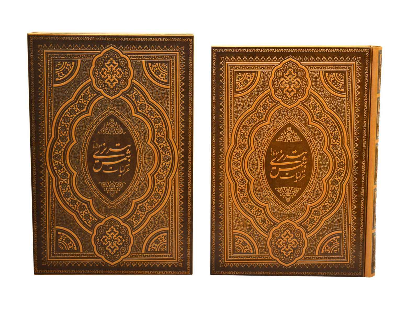 Ghazaliyat de Shams-e Tabrizi (Bilingue Persan & Anglais)