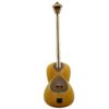 Instrument à cordes Tar persan – Fabriqué à la main par IranSaz, Modèle Argavan