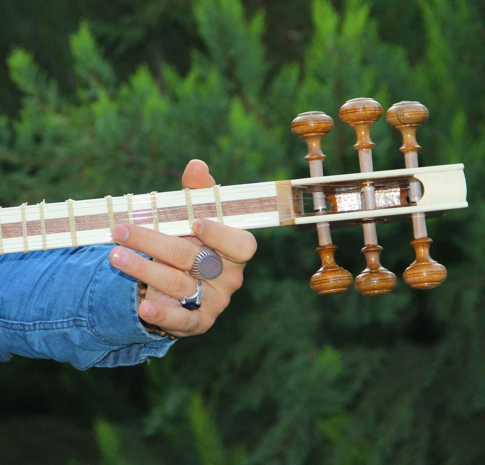 Instrument à cordes Tar persan – Fabriqué à la main par IranSaz, Modèle H700