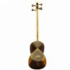 Instrument à cordes Tar persan – Fabriqué à la main par IranSaz, Modèle H700