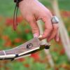 Instrument à cordes Tar persan – Fabriqué à la main par IranSaz, Modèle Argavan