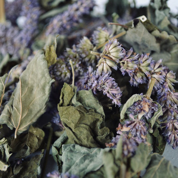 Herbe d'hysope séchée (Hyssopus officinalis) - 700g - Herbe aromatique premium