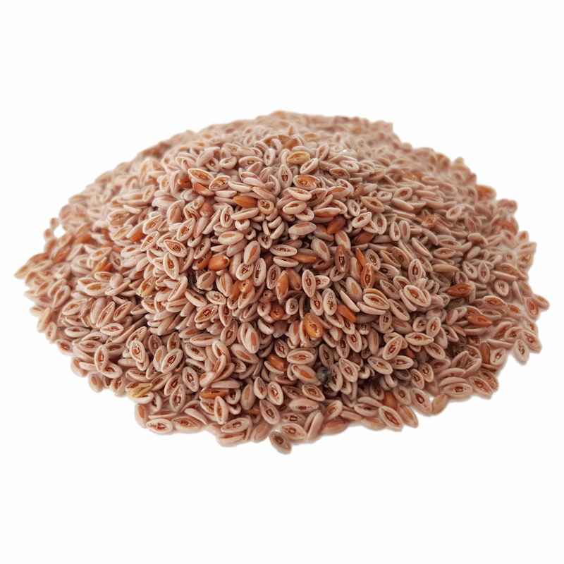 Graines Séchées d’Ispaghul (Psyllium) – 600 grammes