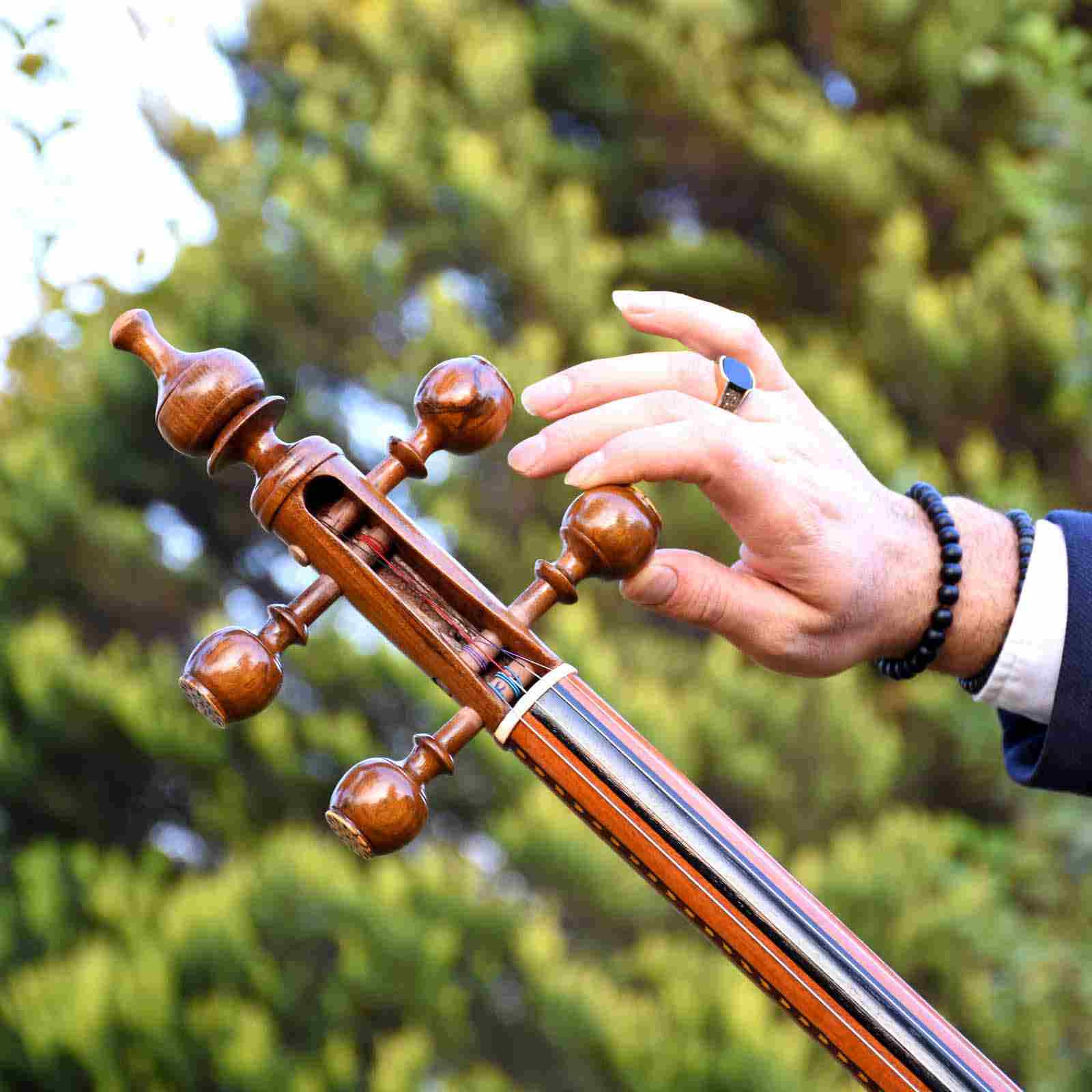 Kamancheh persan par Bajalavand – Modèle 80Tar