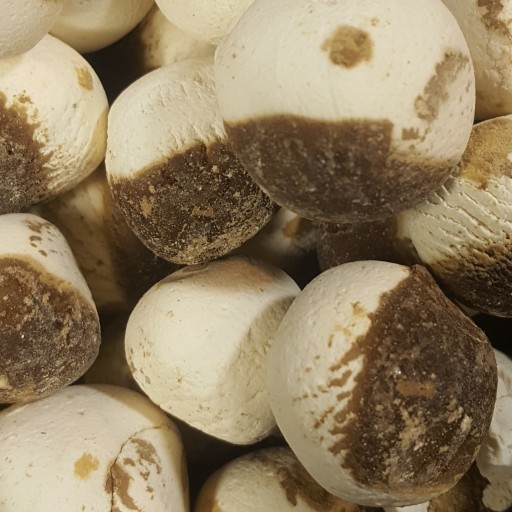 Kashk Perse Mixte – Caillé Sec Blanc & Noir – 800g