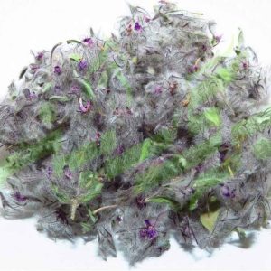 Feuilles séchées de Stachys lavandulifolia Chaye-e-Kohi 750 grammes