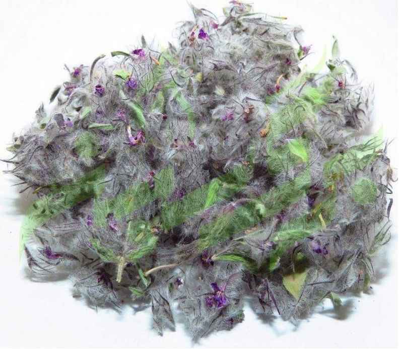 Feuilles séchées de Stachys lavandulifolia Chaye-e-Kohi 750 grammes