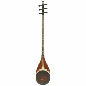 Instrument à cordes Shurangiz persan Avayeh Molana – Modèle Shayan