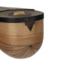 Instrument à cordes Shurangiz persan Avayeh Molana – Modèle Aflak