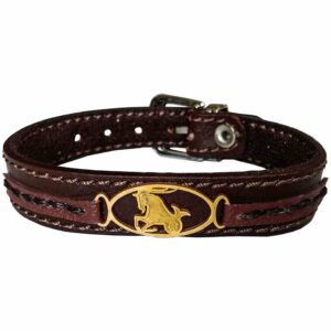 Bracelet en cuir persan pour hommes et femmes – Symbole Dey