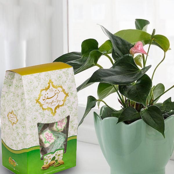 Gaz Mozaffari (Lot de 3) : Pistache – Nougat traditionnel iranien à l’eau de rose