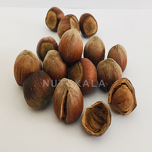 Noix persanes entières crues – 900 grammes