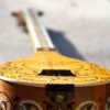 Instrument à cordes Setâr persan - Fabriqué à la main par Iransaz, Modèle Shayan