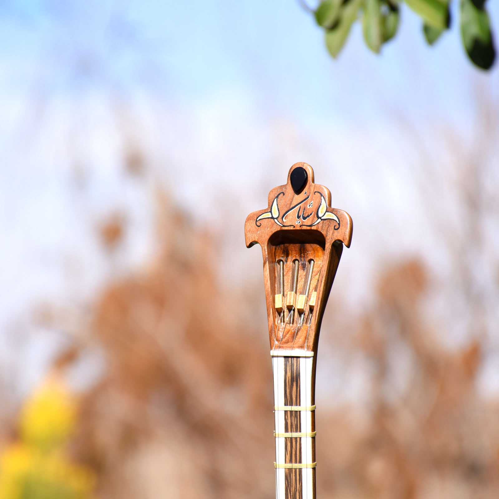 Instrument à cordes Setâr persan – Fabriqué à la main par Iransaz, Modèle Shayan