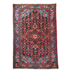 Tapis Persan Noué à la Main avec Design Toranj & Médaillon