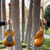 Instrument à cordes Tar persan – Fabriqué à la main par IranSaz, Modèle Sepehr