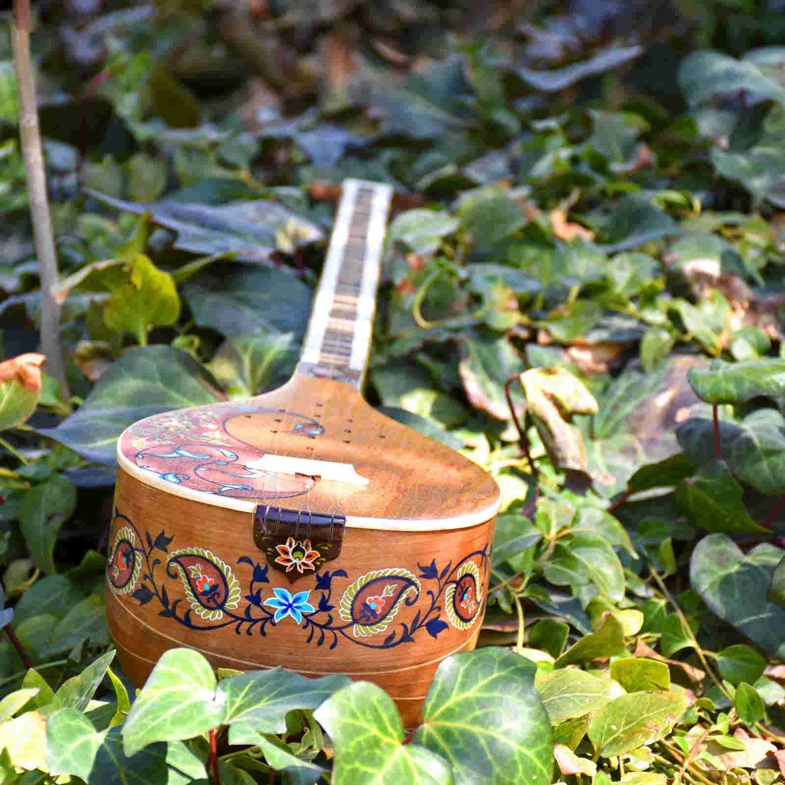 Instrument à cordes Setâr persan – Fabriqué à la main par Iransaz, Modèle Tarnam