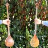 Instrument à cordes Setâr persan - Fabriqué à la main par Iransaz, Modèle Homayoun