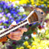 Instrument à cordes Tar persan – Fabriqué à la main par Iran-Saz, Modèle Vida