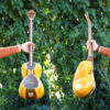 Instrument à cordes Tar persan – Fabriqué à la main par Iran-Saz, Modèle Vida