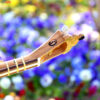 Instrument à cordes Tar persan – Fabriqué à la main par Iran-Saz, Modèle Vida