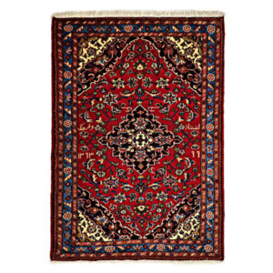 Tapis Persan Fait Main avec Design Toranj et Médaillon