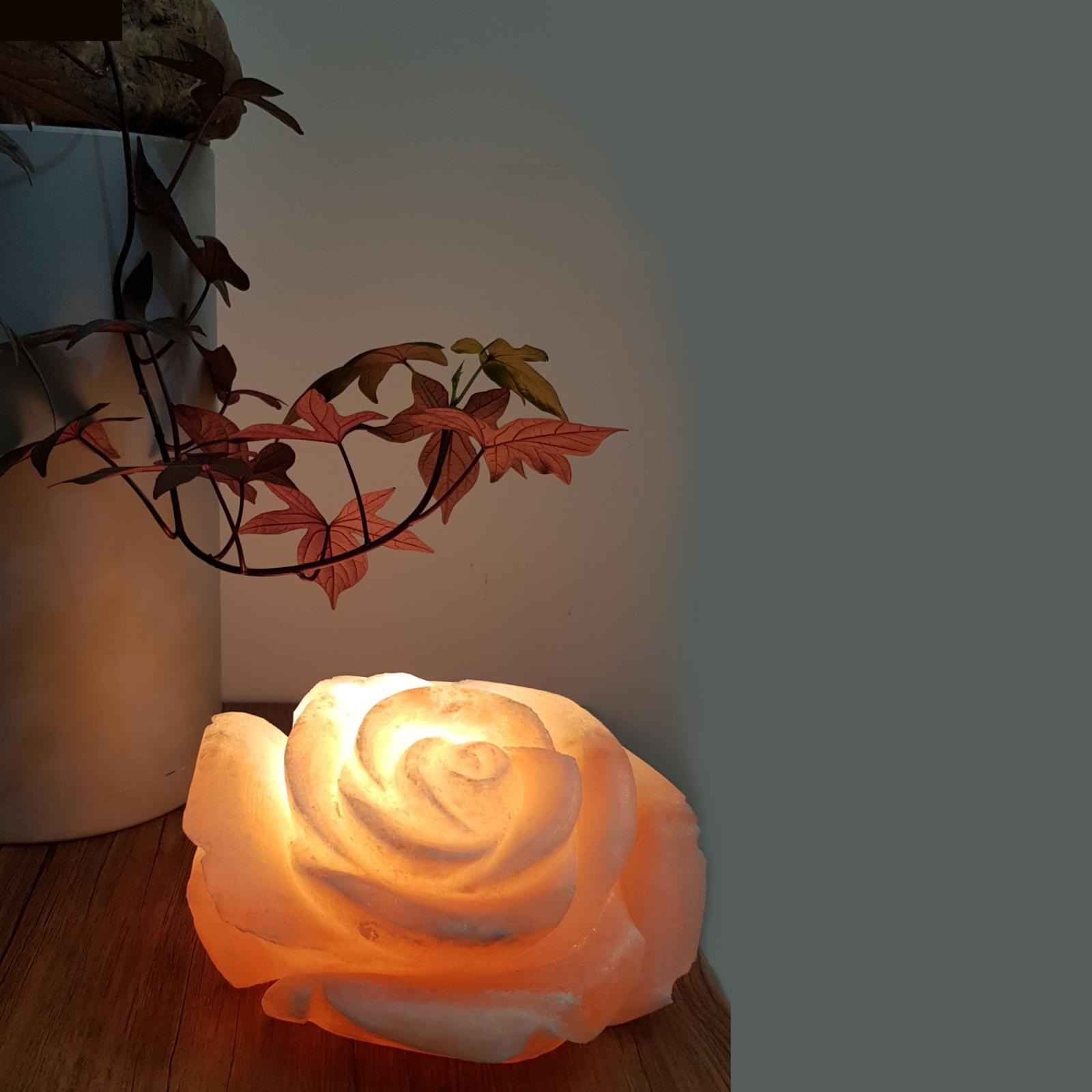 Lampe de fleur de sel persane – design Rose G2 fait main