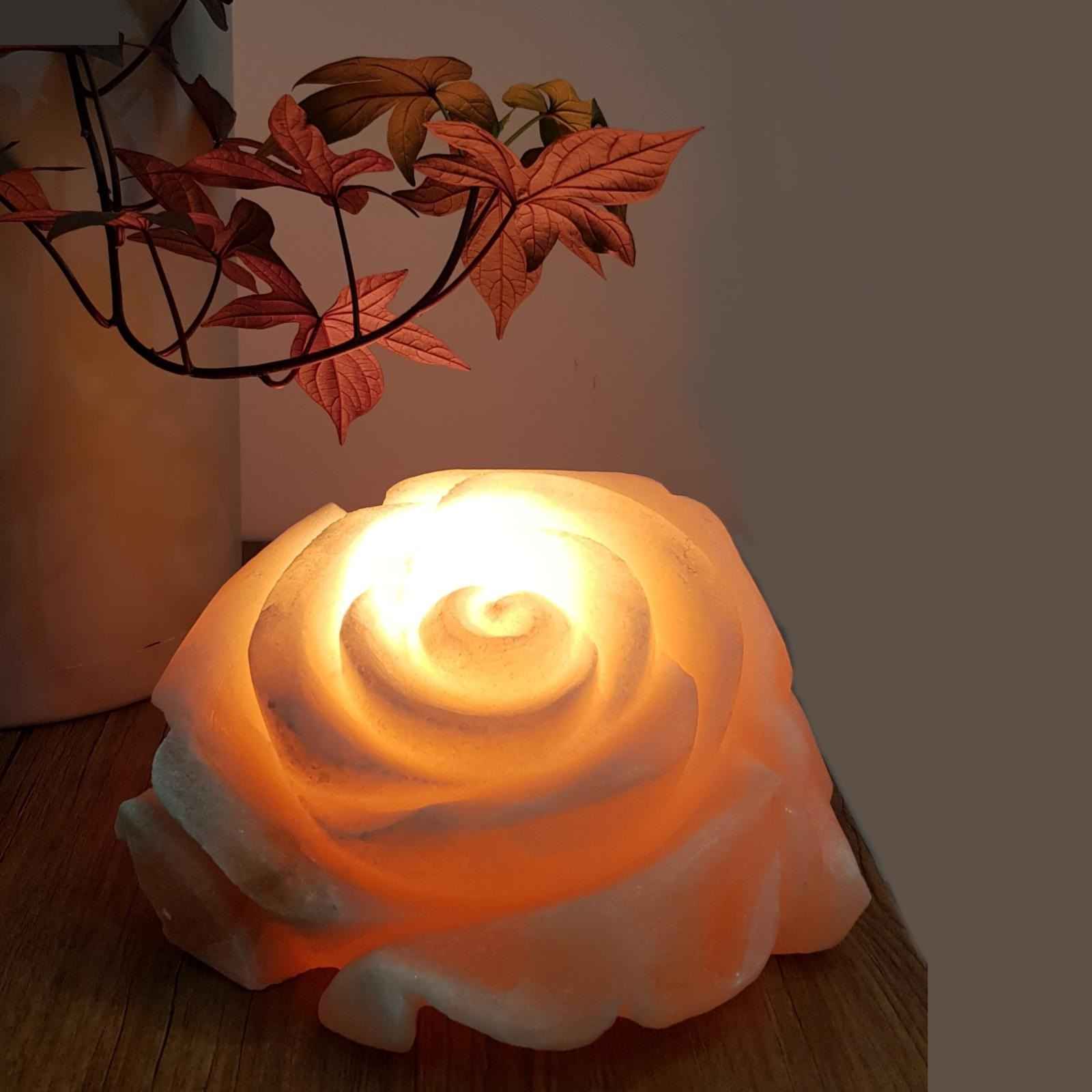 Lampe de fleur de sel persane – design Roset fait main