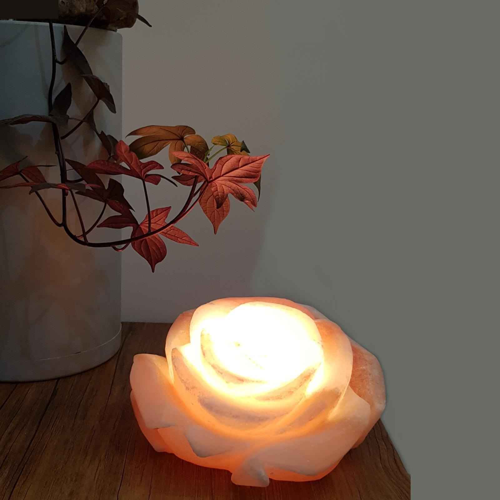 Lampe de fleur de sel persane – design Rose fait main
