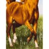 Tapis persan figuratif noué à la main de Tabriz représentant un cheval