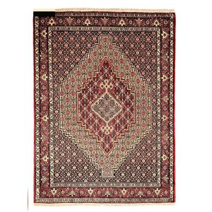 Tapis Persan Fait Main Médaillon Intriqué en Laine Toranj Mahi