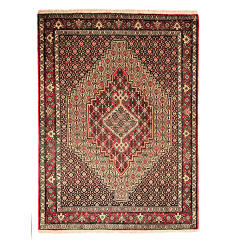 Tapis Persan Fait Main Médaillon Intriqué en Laine Toranj Mahi