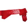 Bandeau Islamique Shia pour Musulmans Shia - Fatimah bint Muhammad (20x)