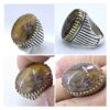 Persian Dendritic Agate Shajar Silver Ring for Men Farshid