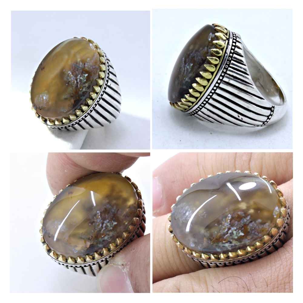 Persischer Dendritischer Achat Shajar Silberring für Herren Farshid