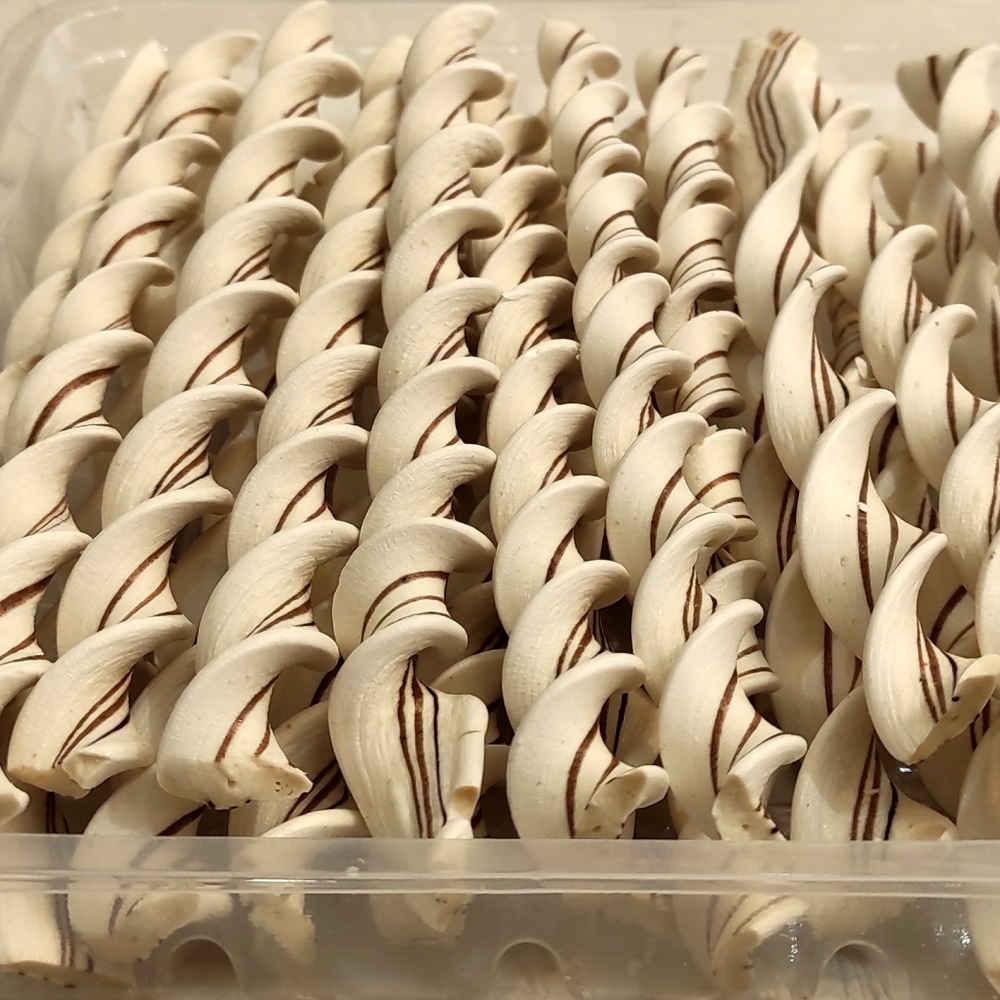 Abnabat Mashadi – Bonbon persan au gingembre – 800g