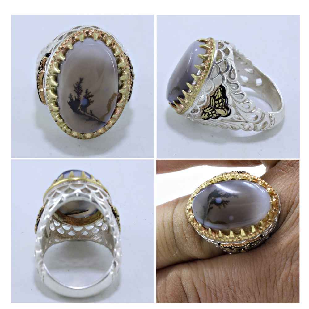 Persischer Dendritischer Achat Shajar Silberring für Herren Ahmad