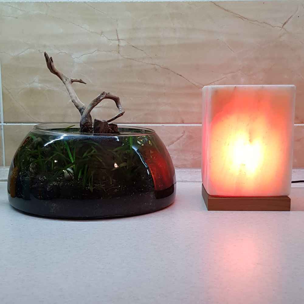 Lampe cube de sel persane – design cuboïde fait main avec base en bois