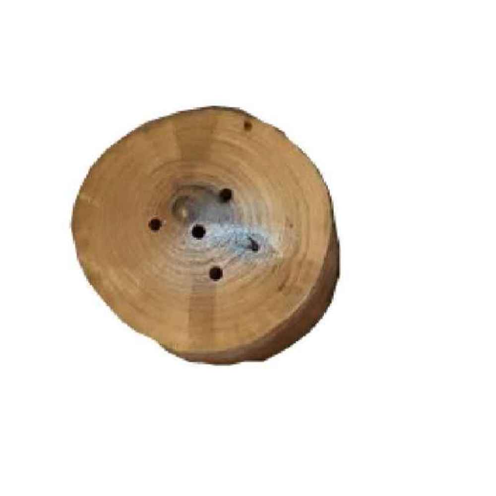 Ensemble de salières et poivrières en bois Adelia